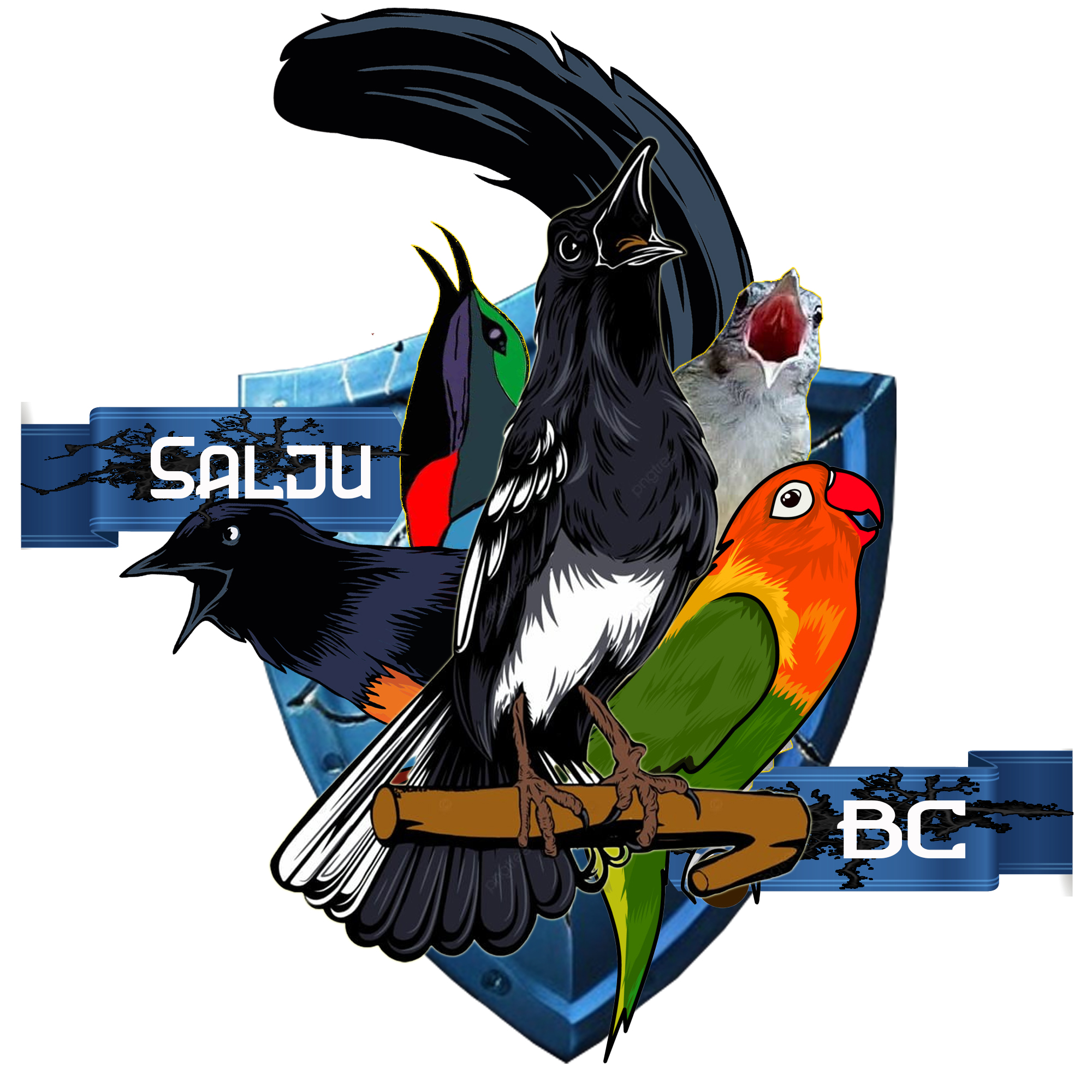 Logo Salju Bc